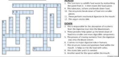 Help please (50 points)-example-1