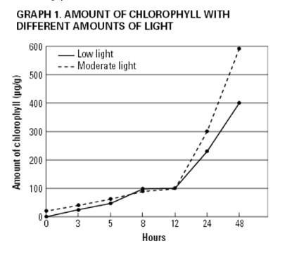 What are the similarities and differences between the low-light seedlings and the-example-1