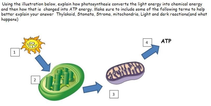 PLEASE ANSWER THIS ASAP-example-1