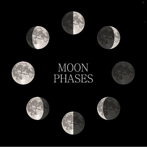 Label the phases of the moon that are listed below. Write the letter next to the word-example-1