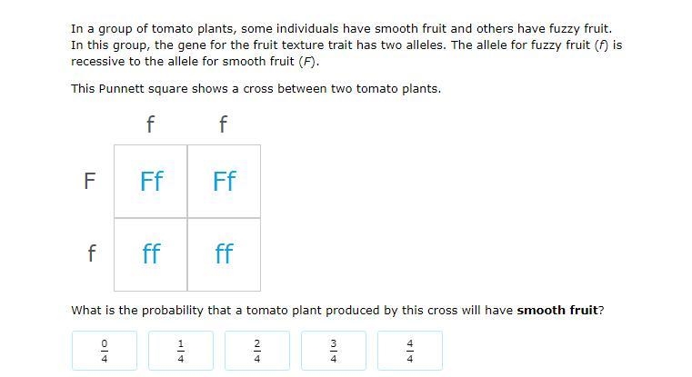 What is the probability that a tomato plant produced by this cross will have smooth-example-1