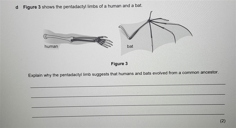 Please can someone answer this question ​-example-1