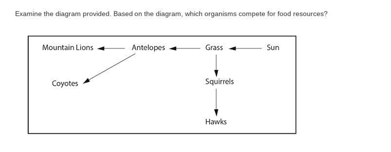 Examine the diagram provided. Based on the diagram, which organisms compete for food-example-1