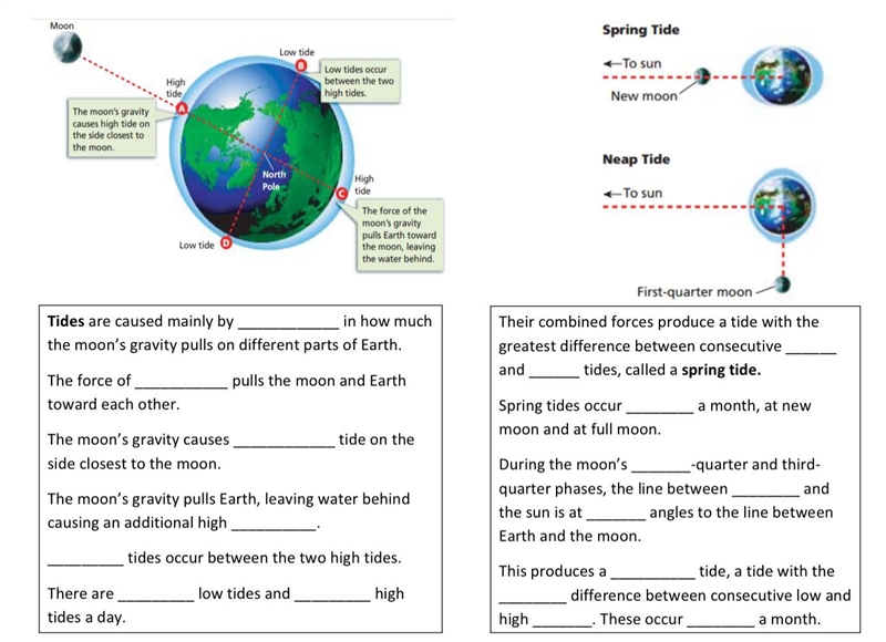 Science (i dunno what it is- like what kind it is, I think biology- i don’t know) Tides-example-1