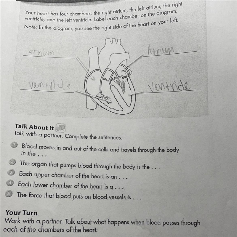 Giving 24 points Answer all the questions!!! science-example-1