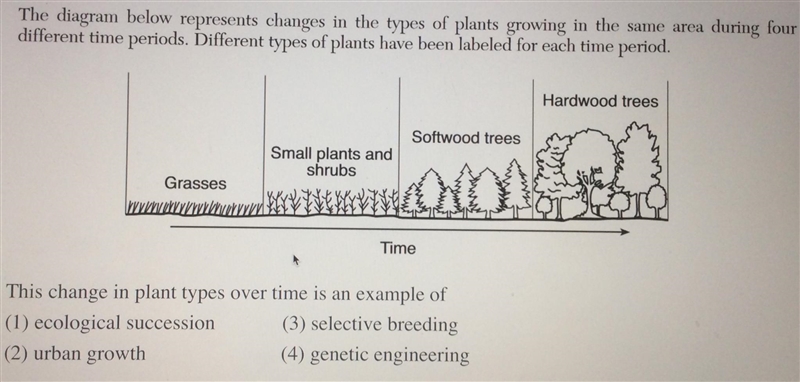 The diagram below represents changes in the types of plants growing in the same area-example-1