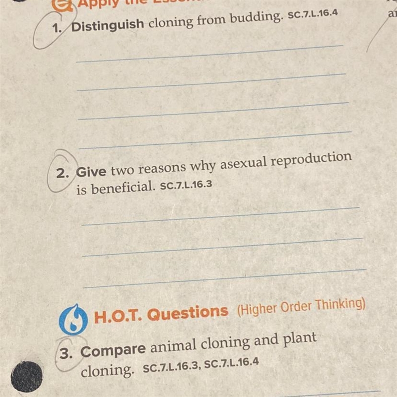 Please help with these questions :)-example-1