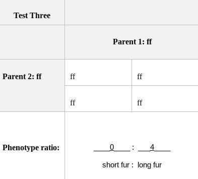 (This is due today!) Which hamsters are the parents of the mystery hamster? Include-example-3