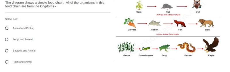 I just need help with these 4 questions-example-3