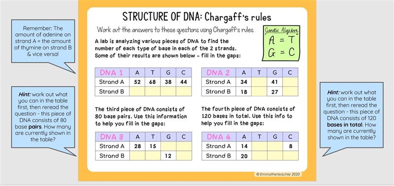 Please Help!! Need help with Biology!! Need Urgently! The picture is down below...-example-1