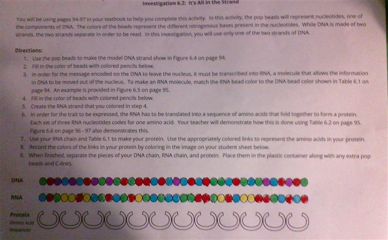 What color order do I write for the Protein?-example-1