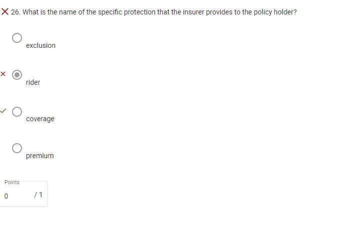 What is the name of the specific protection that the insurer provides to the policy-example-1