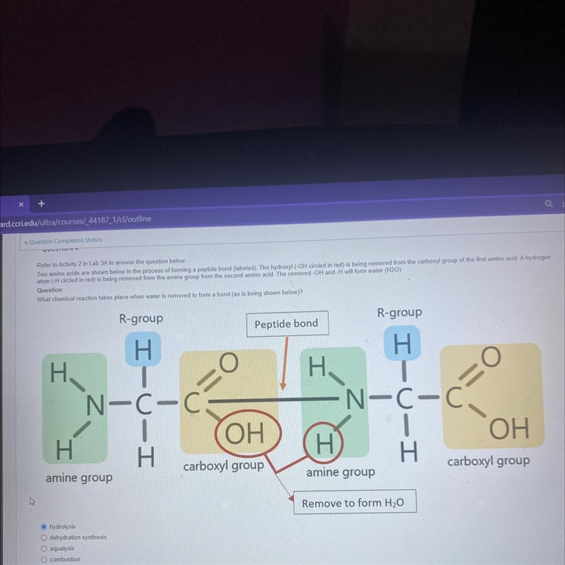 Question Completion Status: PUESTIVITY Refer to Activity 2 in Lab 3A to answer the-example-1