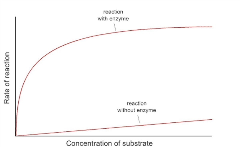 3.Study the diagram below carefully and respond to the questions below. •Interpret-example-1