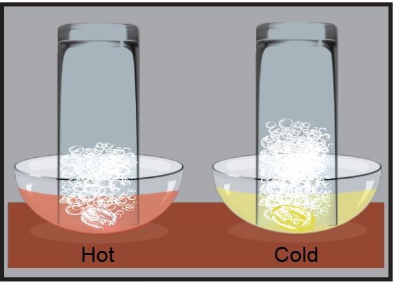 Part B The image models what happened after each cup was placed over an effervescent-example-1