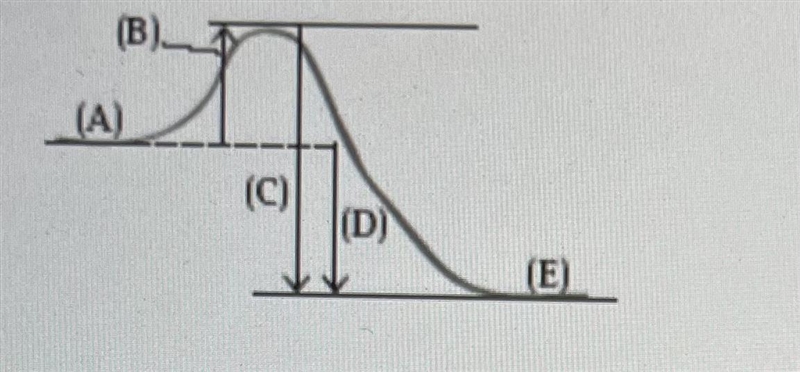 which part of the diagram below represents the difference between the potential energy-example-1