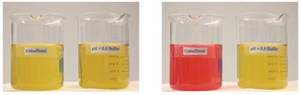 A strong acid has been poured into both beakers in the image on the left. Why did-example-1