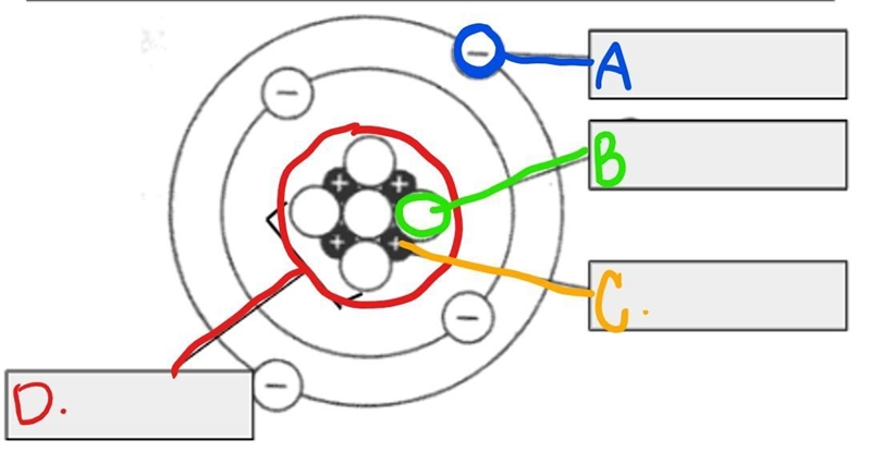 Write the name of these next to the letter-example-1