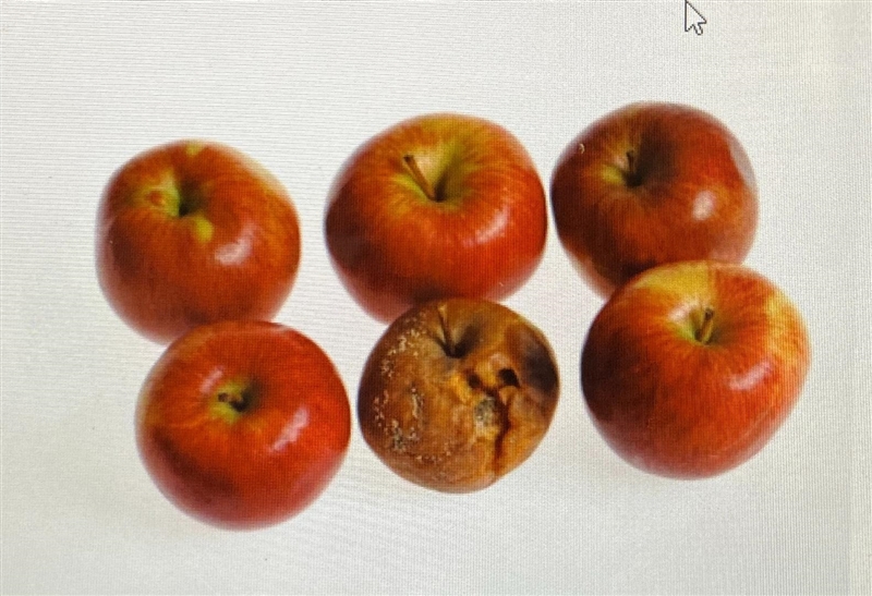 What are some clues that chemical changes are occurring with the apples?-example-1