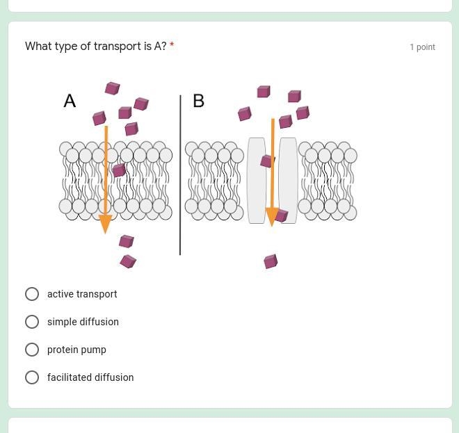 What type of transport is A-example-1