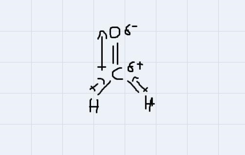 Hi could you please I just want to be sure on how to do these diagrams-example-2