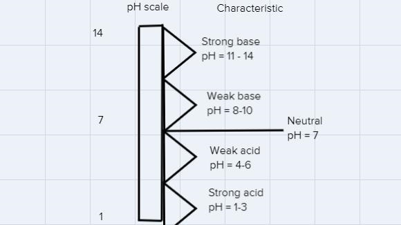 A 1.0 x10 - 4 M solution has a pH of 10.00. The solute is a _____.Select one:a. weak-example-2