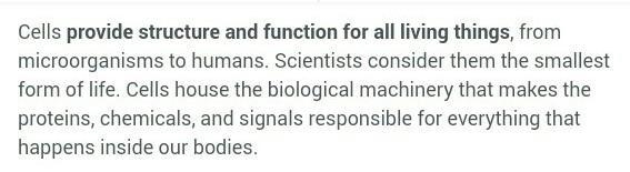 Grade 7 science What is the important of a cell?​-example-1