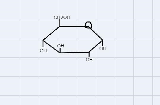 Determine the structure of a glucose molecule. Must be 3-5 sentences-example-1