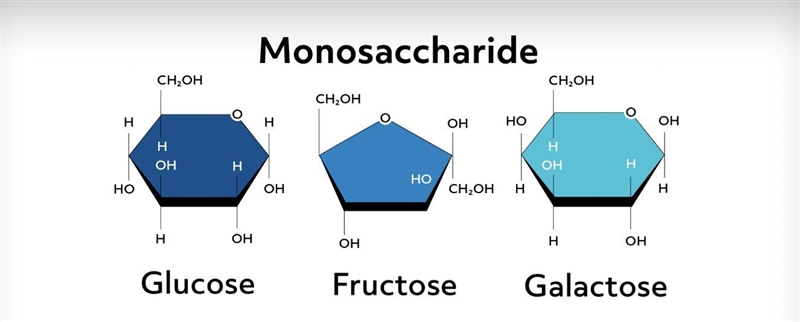 3.Discuss the four macromolecules that occur in nature, including the building block-example-1