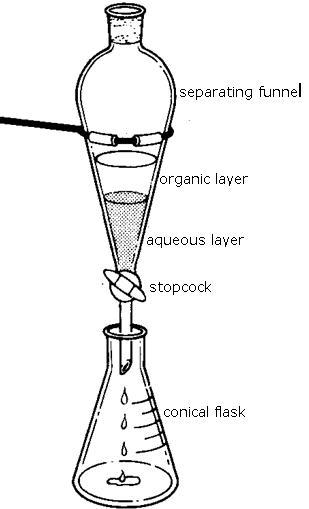 While performing the extraction experiment, you were confused between the organic-example-1