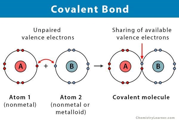 How does a covalent bond form?-example-1