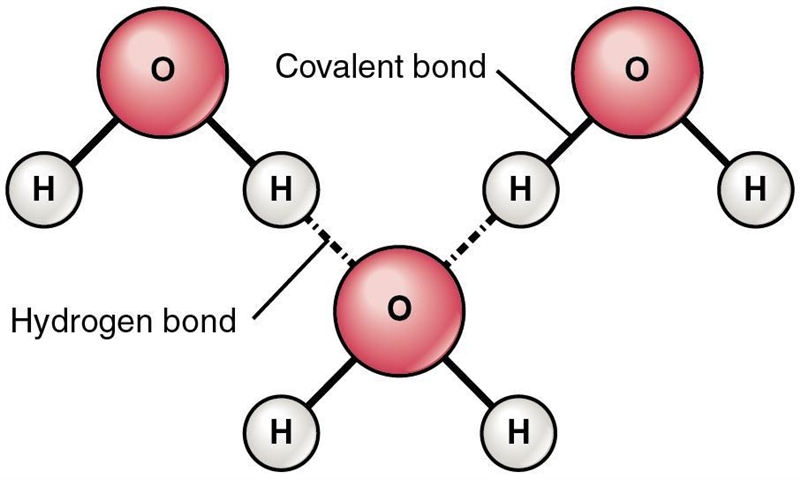 Intermolecular forces are forces of attraction between molecules.True or false!!-example-1