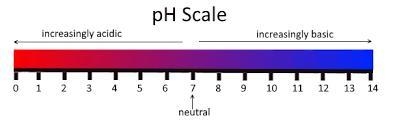 Which type of solution is one with a pH of 8?acidicneutralbasic-example-1