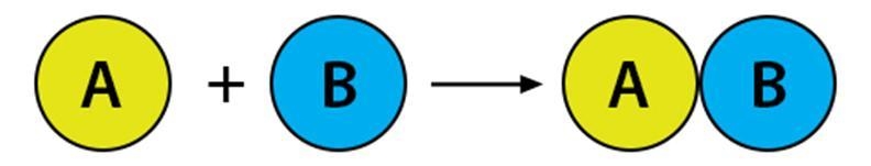 2. Classify the reactions:a. XY → X+Yb. C+ DE → CE + DC. F + G → FGd. Mg + O₂→ MgOe-example-1