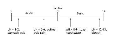 Of the following, a solution with which pH would be the most basic solution?-example-1