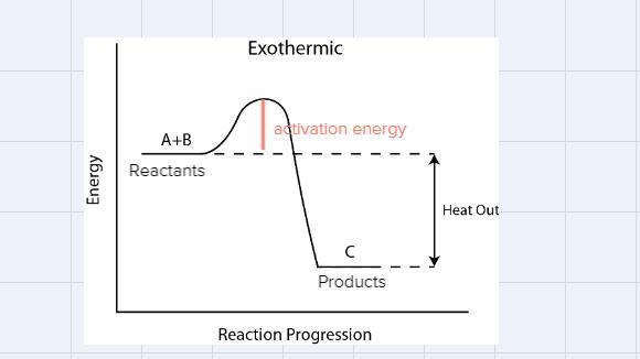 Which statement is true about the potential energy diagram for an exothermic reaction-example-1