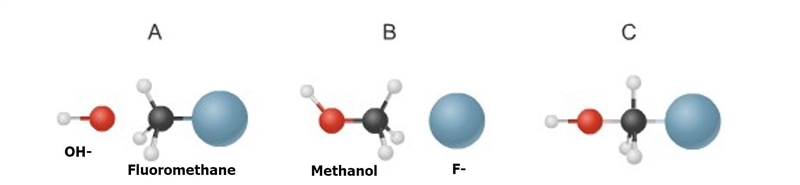 2.Please study the figures below which illustrate the steps in the chemical reaction-example-1