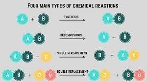 What type of reaction is represented by the following equation? Mg(OH)2 (aq) + 2 HCl-example-1