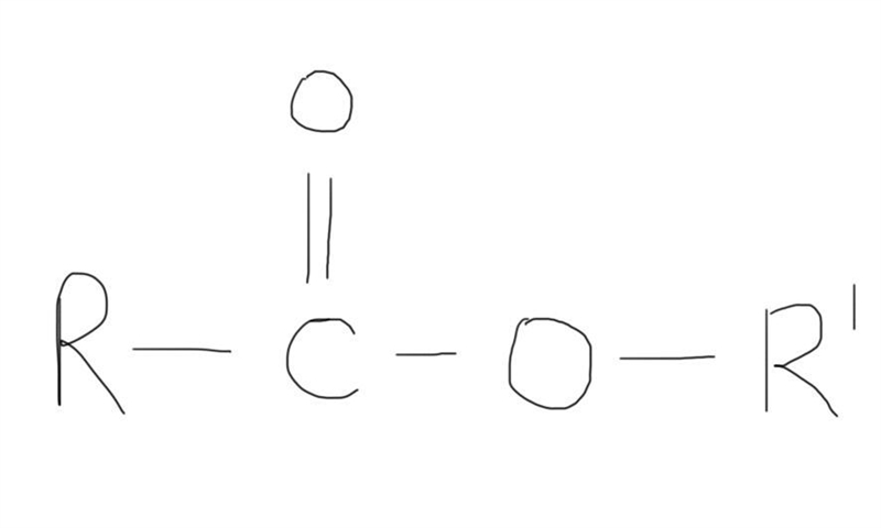 Name the functional group in thefollowing molecule:OB. carboxylic acidD. esterA etherC-example-1