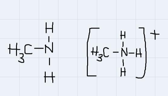 14) Methylamine, CH3NH2, reacts with hydronium ion in very much the same way as ammonia-example-1