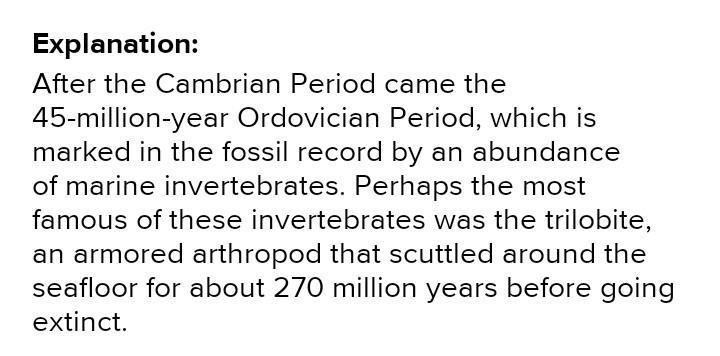 Which time period saw the rise of small invertebrate life and fungi?-example-1