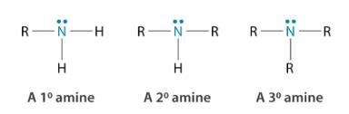 What are amines and amidines-example-1