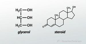 3.Discuss the four macromolecules that occur in nature, including the building block-example-2