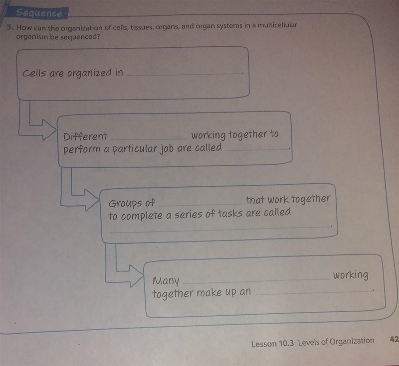 NEED HELP PLS HELP ME OUT!!​-example-1