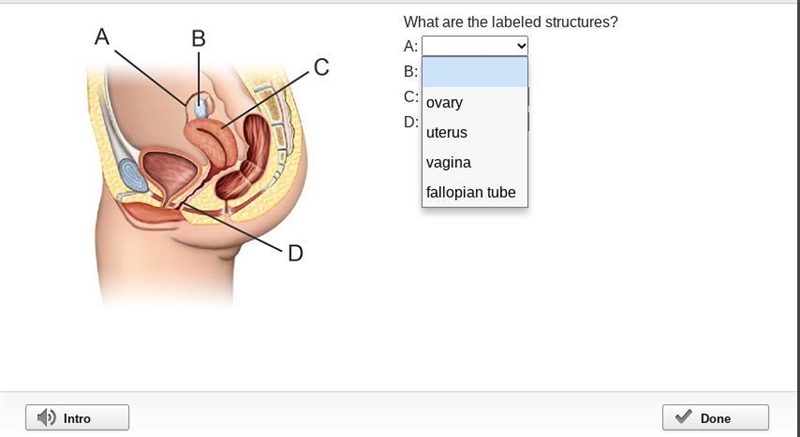 What is the answer for ABCD help-example-2