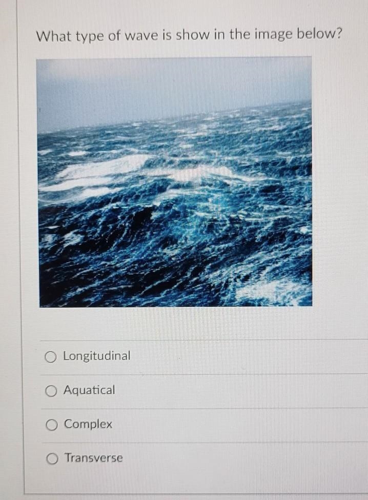 What type of wave is show in the image below? A. Longitudinal B. Aquatical C. Complex-example-1