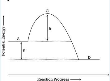 Which statement best describes the forward reaction in the Potential Energy diagram-example-1