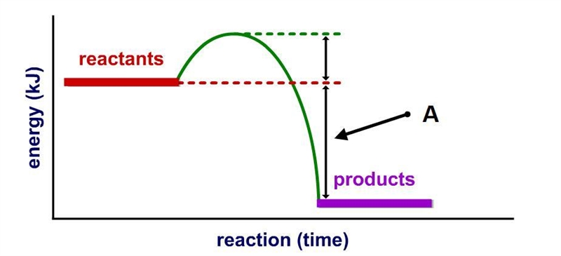 What is indicated by 'A' in the figure below?A. -EaB. +VEC. -VED. +Ea-example-1