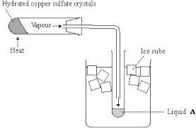 What is the purpose of the ice?-example-1