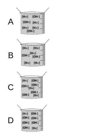 Which best corresponds to a strong base?I need to know-example-1